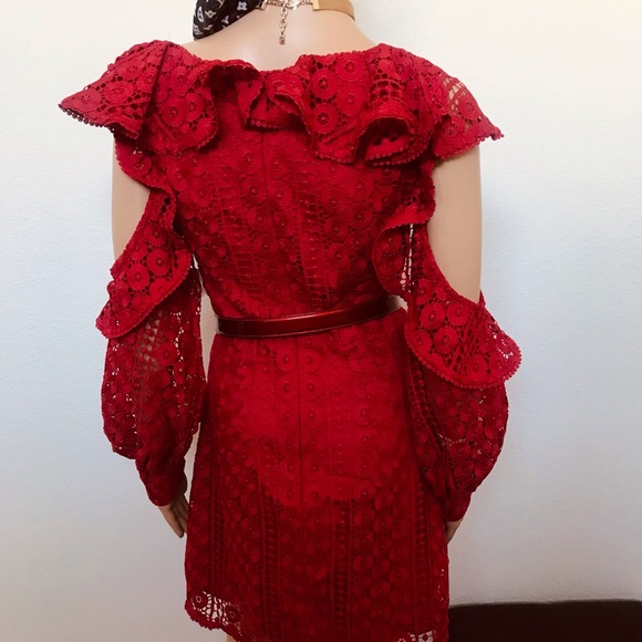 Stunning Alexis S deep red lace dress new - Picture 6 of 14